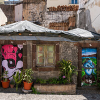 Buy canvas prints of Street Art, Funchal. Madeira by Jo Sowden