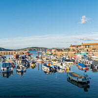 Buy canvas prints of Lyme Regis Harbour by Jo Sowden