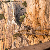 Buy canvas prints of  Caminito Del Rey Gorge, Spain by Jo Sowden