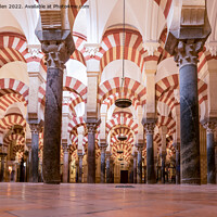 Buy canvas prints of The arches of the Cordoba Mezquita by Jo Sowden