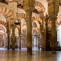 Buy canvas prints of Inside the Cordoba Mezquita by Jo Sowden
