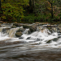 Buy canvas prints of Cascades  on the River Teign by Jo Sowden