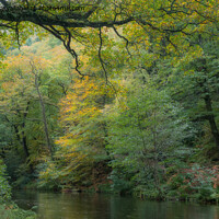 Buy canvas prints of Tranquil River Teign by Jo Sowden