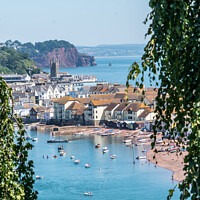 Buy canvas prints of View of Teignmouth Back Beach  from Shaldon by Jo Sowden