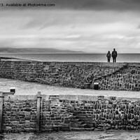Buy canvas prints of Enjoying the view from the Cobb, Lyme Regis by Jo Sowden