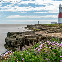 Buy canvas prints of Portland Bill in Spring by Jo Sowden