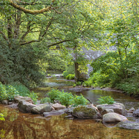Buy canvas prints of Steps Bridge, Dunsford, Dartmoor by Jo Sowden