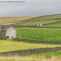 Buy canvas prints of Teesdale Countryside View by Jo Sowden