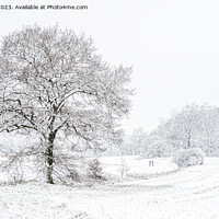 Buy canvas prints of First snow of 2021 by Jo Sowden