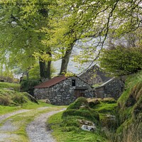 Buy canvas prints of Traditional Dartmoor stone cottage by Jo Sowden