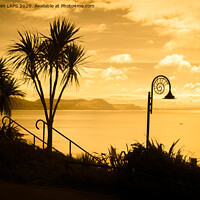 Buy canvas prints of Lyme Regis Sunset by Jo Sowden