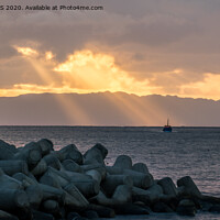 Buy canvas prints of Sunrise in Funchal, Madeira by Jo Sowden
