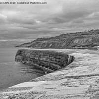 Buy canvas prints of The Cobb, Lyme Regis in Mono. by Jo Sowden