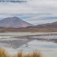 Buy canvas prints of Salt Lake in the Andes, Bolivia with Flamingos  by Jo Sowden