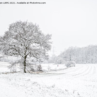 Buy canvas prints of Snowy Landscape, Hertfordshire by Jo Sowden