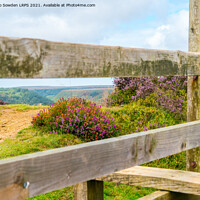 Buy canvas prints of A walk on the North York Moors by Jo Sowden