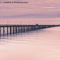 Buy canvas prints of Southend Pier at Sunrise by Jo Sowden