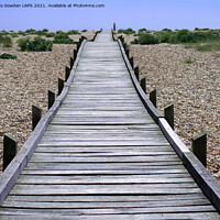 Buy canvas prints of Path to beach by Jo Sowden