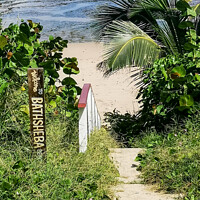 Buy canvas prints of Bathsheba Beach, Barbados by Jo Sowden