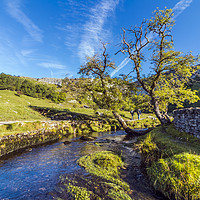 Buy canvas prints of Approach to Malham Cove by Kerri Dowling