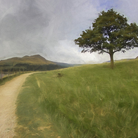 Buy canvas prints of  Solitary Tree by Stuart Muckley