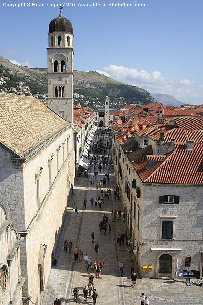  Dubrovnik Picture Board by Brian Fagan