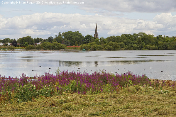  Attenborough Nature Reserve Picture Board by Brian Fagan