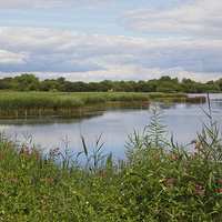 Buy canvas prints of  Attenborough Nature Reserve by Brian Fagan