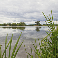 Buy canvas prints of  Attenborough Nature Reserve by Brian Fagan