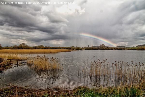Rainbow over the water Picture Board by Brian Fagan