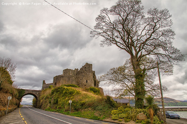 King John Castle, Carlingford Picture Board by Brian Fagan