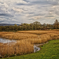 Buy canvas prints of The Wetlands by Brian Fagan