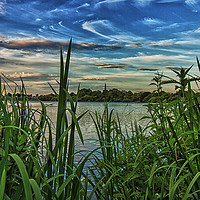 Buy canvas prints of View from the reeds by Brian Fagan