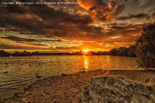 Sunset over Attenborough Picture Board by Brian Fagan