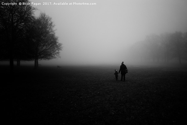 Walking in a winter wonderland Picture Board by Brian Fagan