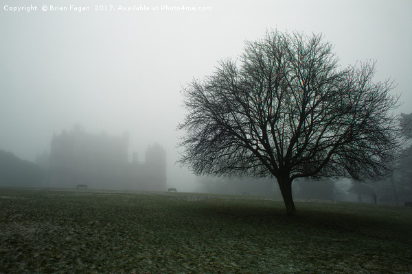 Foggy Wollaton Hall in the winter Picture Board by Brian Fagan