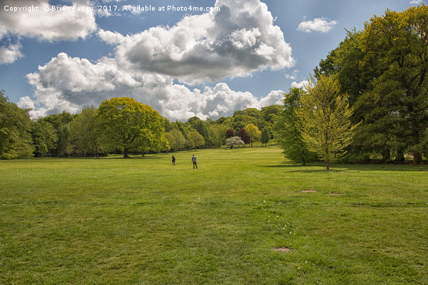 Bramcote Hills Park Picture Board by Brian Fagan