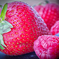 Buy canvas prints of Strawberry delight by Brian Fagan