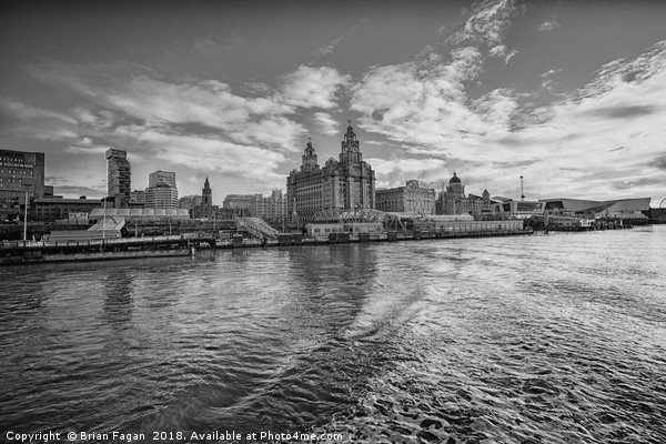 The Liver building Picture Board by Brian Fagan