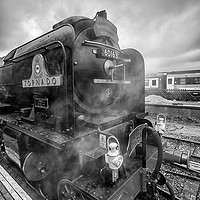 Buy canvas prints of 60163 Tornado Steam locomotive  by Brian Fagan