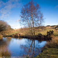 Buy canvas prints of Ellison;s Pond, Ashdown Forest  by Craig Williams
