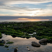 Buy canvas prints of Birling Gap at Sunset II by Craig Williams
