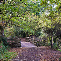 Buy canvas prints of Pooh Bridge in early Autumn by Craig Williams