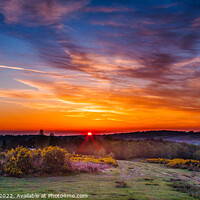 Buy canvas prints of Sunset over Ashdown Forest by Craig Williams