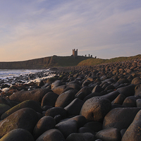 Buy canvas prints of  Early Morning at Dunstanburgh Castle by Craig Williams