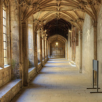 Buy canvas prints of Cloisters, Christ Church College, Oxford by Craig Williams