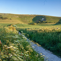 Buy canvas prints of Path to Long Man of Wilmington by Craig Williams