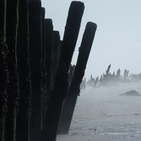 Buy canvas prints of  Spurn Point Groynes by Dave Leason