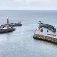 Buy canvas prints of Whitby Harbour by Dave Leason