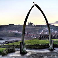 Buy canvas prints of Whitby Whalebone Frost by Dave Leason